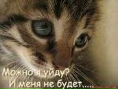 Свєтка Канфєтка фотография #32 (источник - https://vk.com/id89266250)