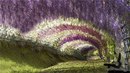 Сяня Кіс фотография #37 (источник - https://vk.com/id161657398)