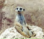 Фотография Васильевой Илларии