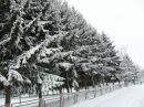 Вікторія Марчук-Корицька фотография #37 (источник - https://vk.com/id112239710)