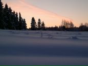 Фотография Левина Дани