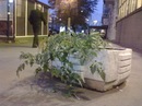 Артем Євтушенко фотография #40 (источник - https://vk.com/id102149380)