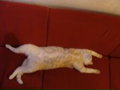 Любовь Ты фотография #27 (источник - https://vk.com/id4773390)