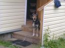 Коля Шендолесов фотография #27 (источник - https://vk.com/id113152791)