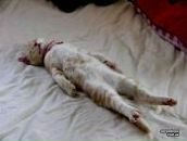 Фотография Павловой Ирины