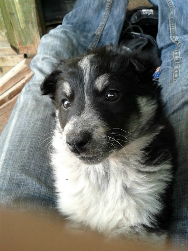 Дмитрий Матвеев фотография #25