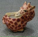 Фотография Миронова Александра