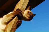 Фотография Макаровой Марии