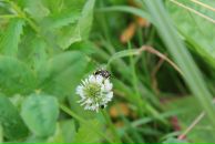 Андрій Світлицький фотография #13 (источник - https://vk.com/id2321783)