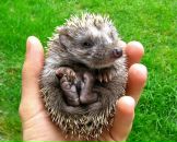 Фотография Александрова Евгения