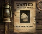 Фотография Пряхина Юлия