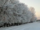 Фотография Дёмичева Максима