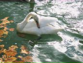 Фотография Чистяковой Анны