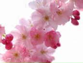 Фотография Zzzhukova Tatyana