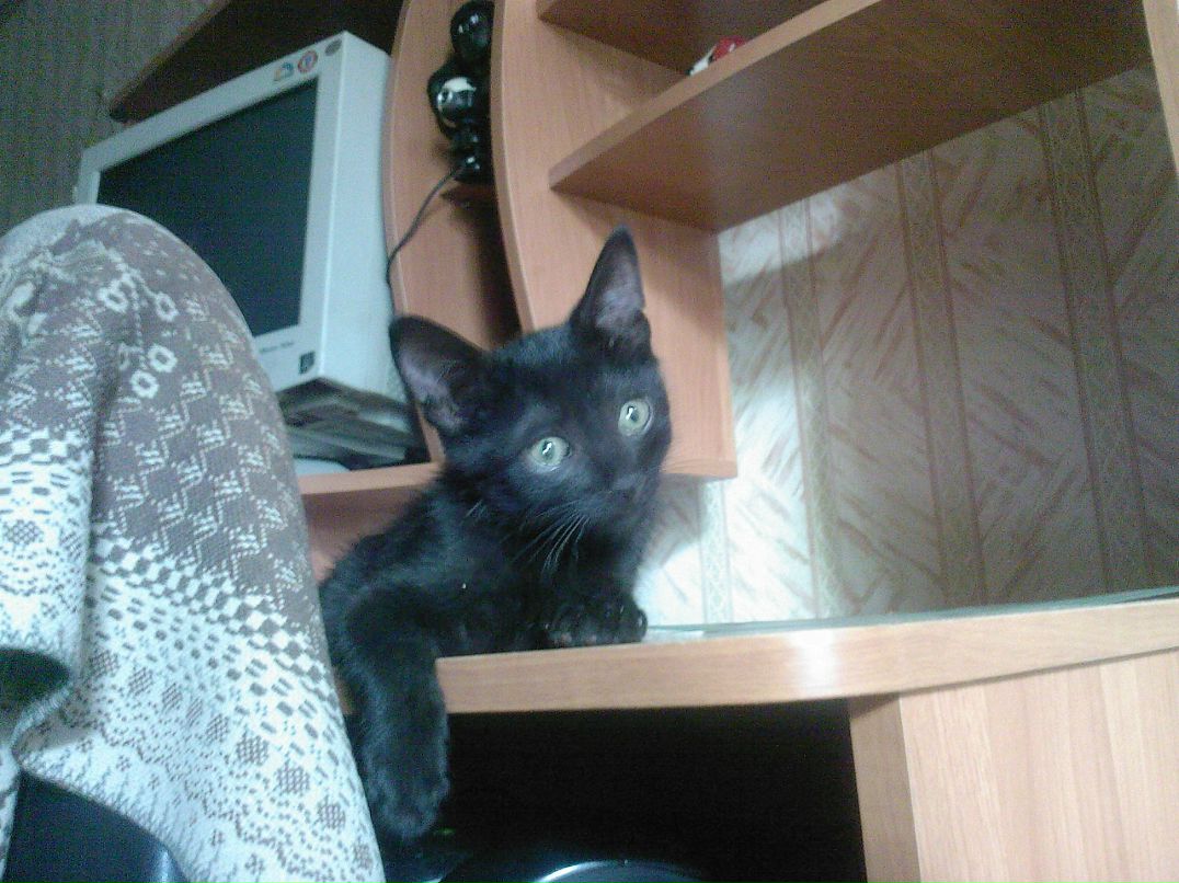 Валентин Матвеев фотография #44