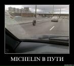 Міша Бурдяк фотография #23 (источник - https://vk.com/id25539971)