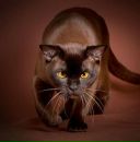 Фотография Казаковцева Евгения