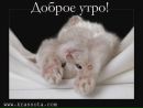 Каміла Юдицька фотография #37 (источник - https://vk.com/id134060787)