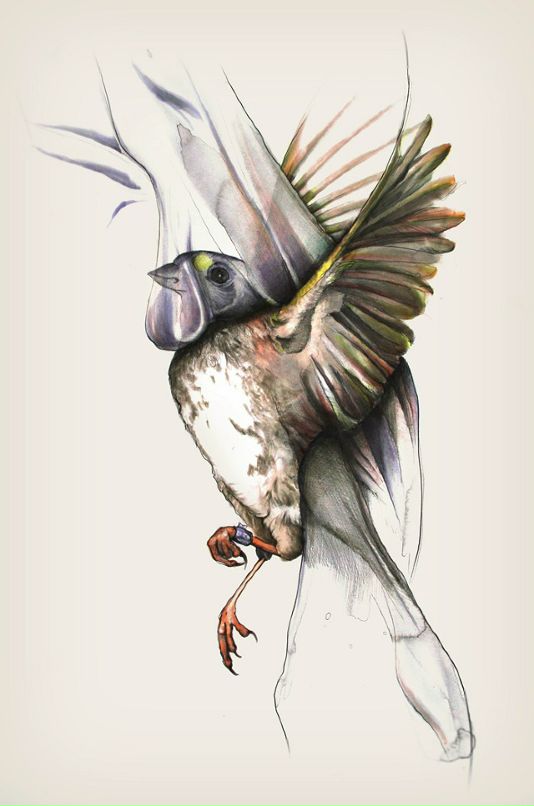 Виктор Васильев фотография #19