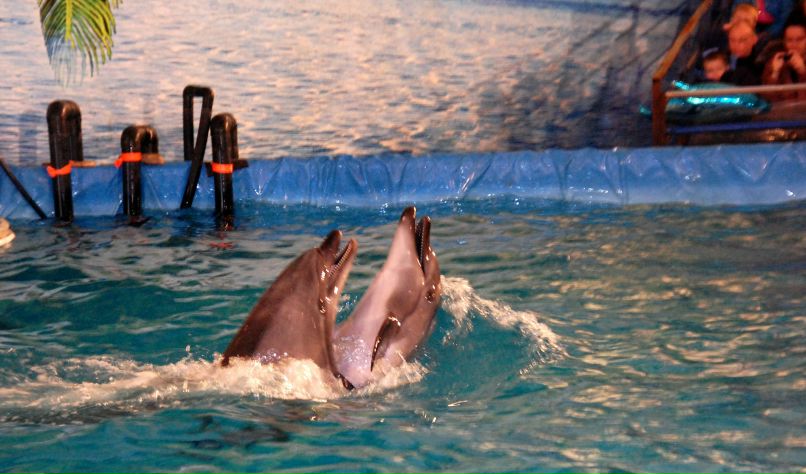 Анастасия Циммерман фотография #33