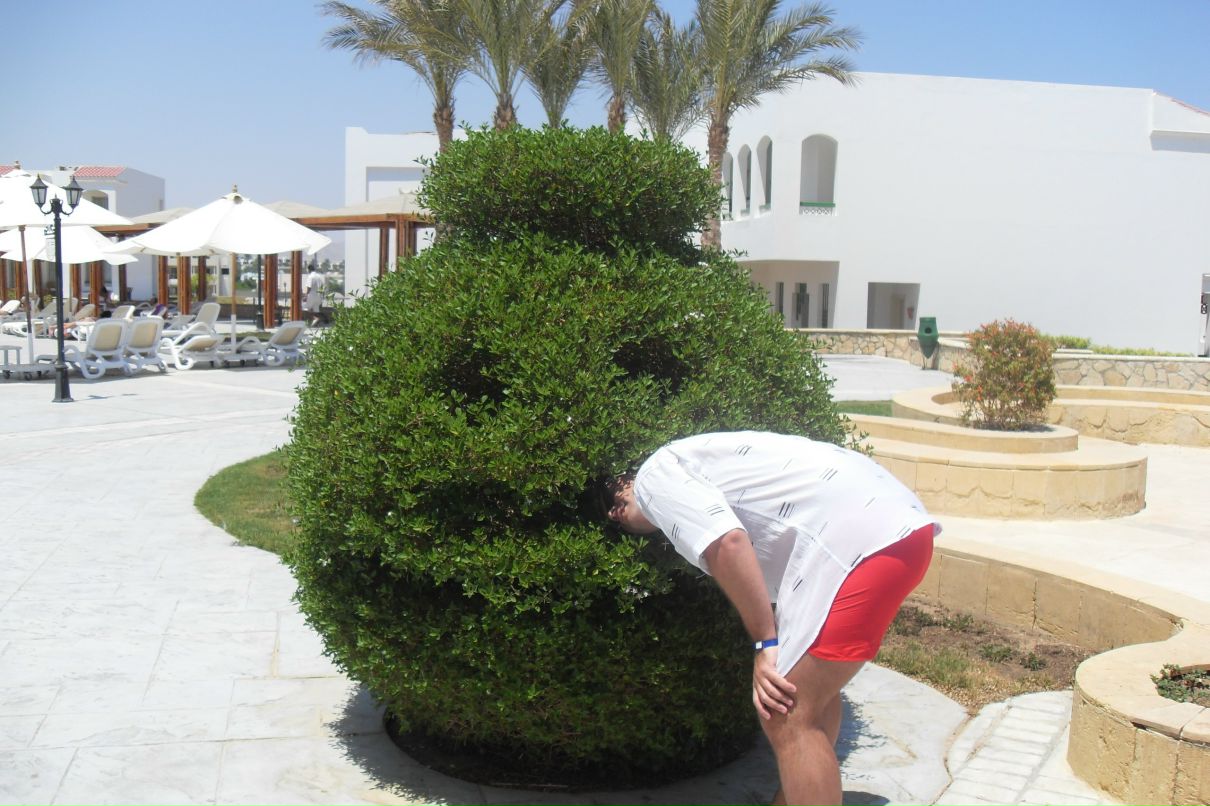 Дмитрий Шульц фотография #50