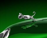 Фотография Макарова Виталия