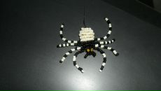 Фотография Донских Кристины