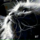 Фотография Логуш Натальи