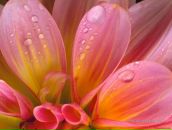 Поліна Ковбель фотография #17 (источник - https://vk.com/id19115786)