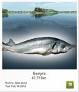 Людмила Бабікова фотография #43 (источник - https://vk.com/id155289329)