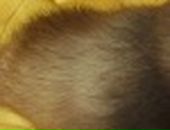 Яна Excale фотография #3 (источник - https://vk.com/id727315)