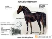 Баланс Белого фотография #27 (источник - https://vk.com/id30664)