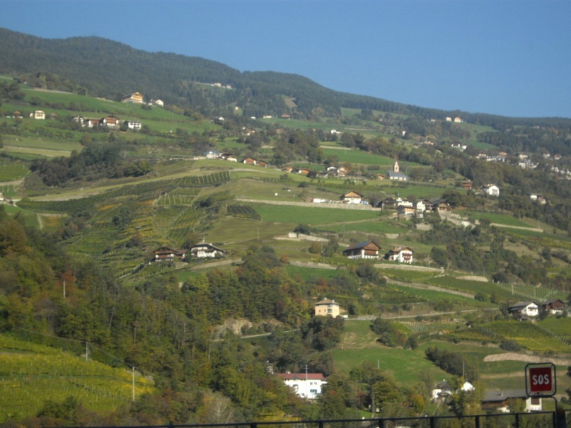 Илья Тимофеев фотография #32