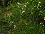 Alexey Dushen фотография #38 (источник - https://vk.com/id670180)