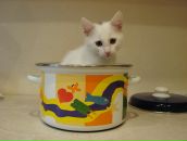 Дмитрий Вдовин фотография #29 (источник - https://vk.com/id636001)