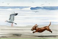 Фотография Бражник Лизы