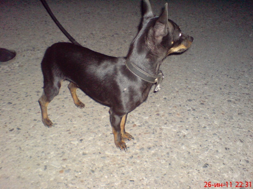 Александр Бугаков фотография #34