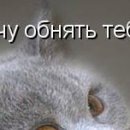 Аліна Опанасенко фотография #46 (источник - https://vk.com/id150696672)