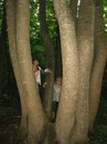 Марія Флорескул фотография #36 (источник - https://vk.com/id156509739)
