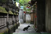 Катя Мищенко фотография #30 (источник - https://vk.com/id19178)