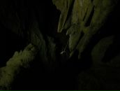 Фотография Окнов Алексей