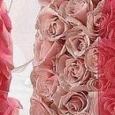 Олічка Терлич фотография #25 (источник - https://vk.com/id23929127)