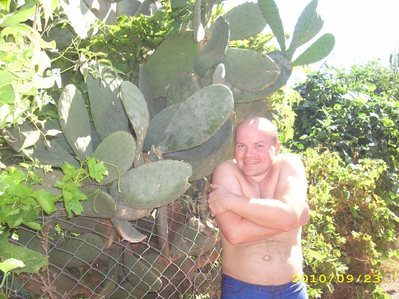 Константин Горлачев фотография #45