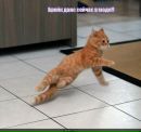 Samaya♥ Samaya... фотография #29 (источник - https://vk.com/id140059392)