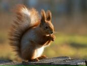 Фотография Львовой Даши