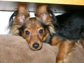 Фотография Чащиной Анны