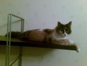 Александр Канаев фотография #26 (источник - https://vk.com/id1237014)