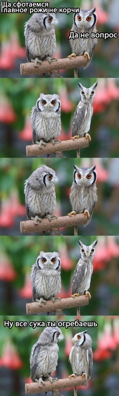 Дмитрий Волков фотография #27