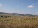 Діміч Пасічник фотография #44 (источник - https://vk.com/id78207810)