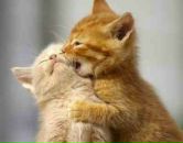 Андрій Вовк фотография #47 (источник - https://vk.com/id10958714)